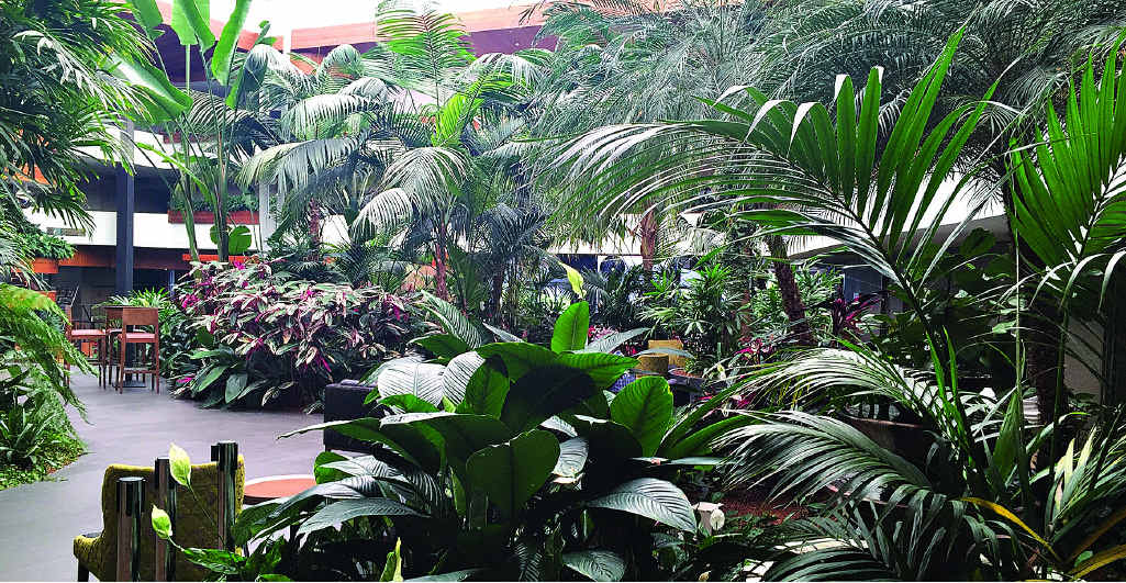 Hotel lobby guests enjoy a coffee in a lush, tropical garden atmosphere. Hotel lobby guests enjoy a coffee in a lush, tropical garden atmosphere.